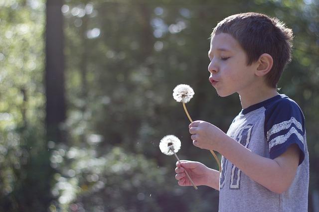 boy outdoors holding dandelion puff