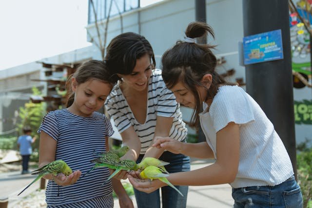 woman and 2 girls feeding birds